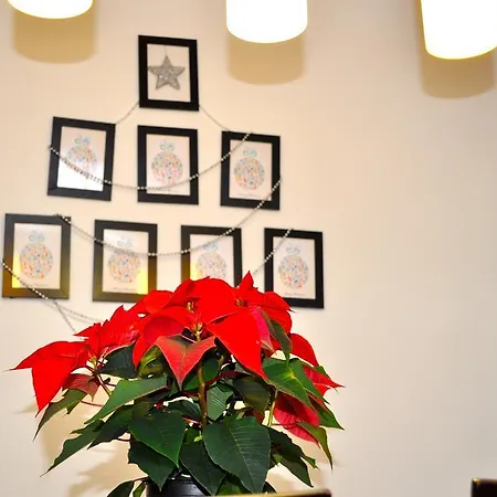 Alexandar's Place Apartament